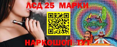 спиды Дубна
