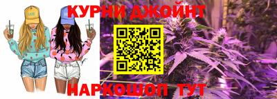 спиды Дубна