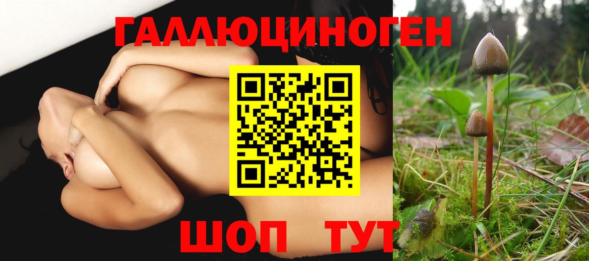 Псилоцибиновые грибы мицелий  Вход с VPN  Михайловка 
